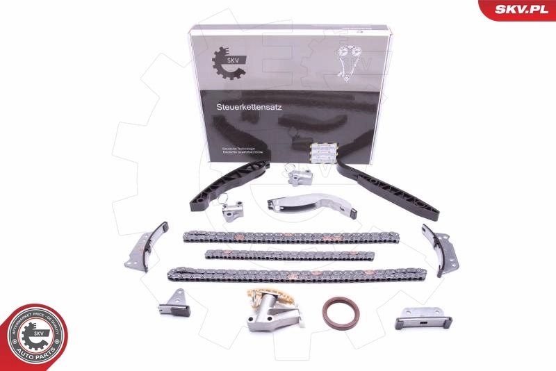 Timing Chain Kit